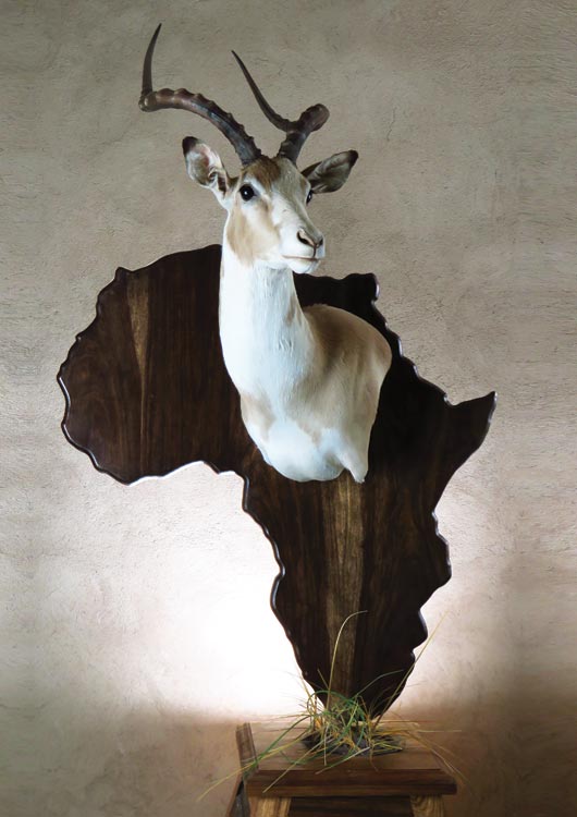 Impala view 2