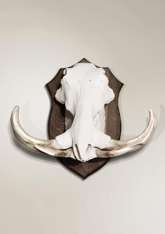 Warthog view 3