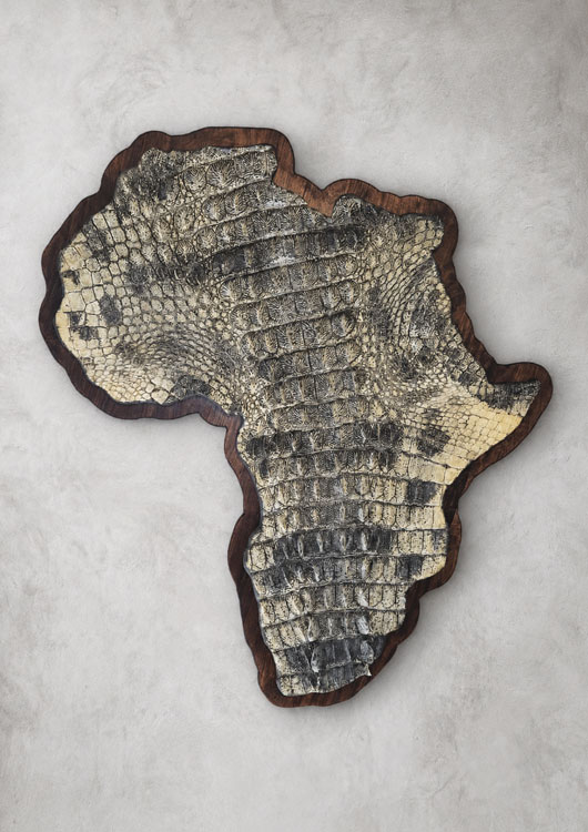 Nile Crocodile — 3D Africa Mount by Nature's Mirror Taxidermy